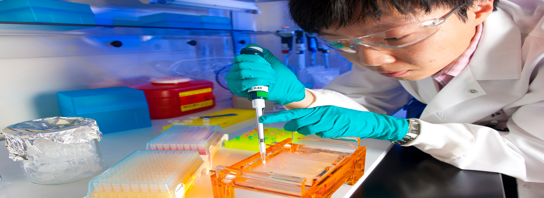 International Research Laboratories